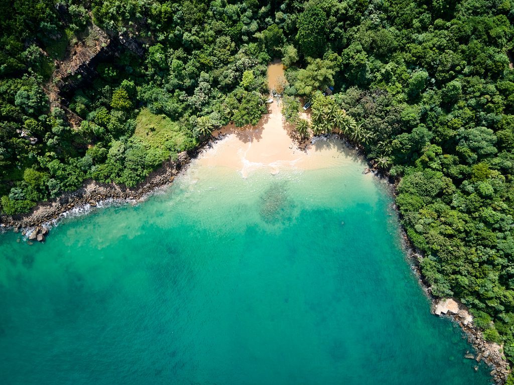 Jungle Beach Bay Drone Shot