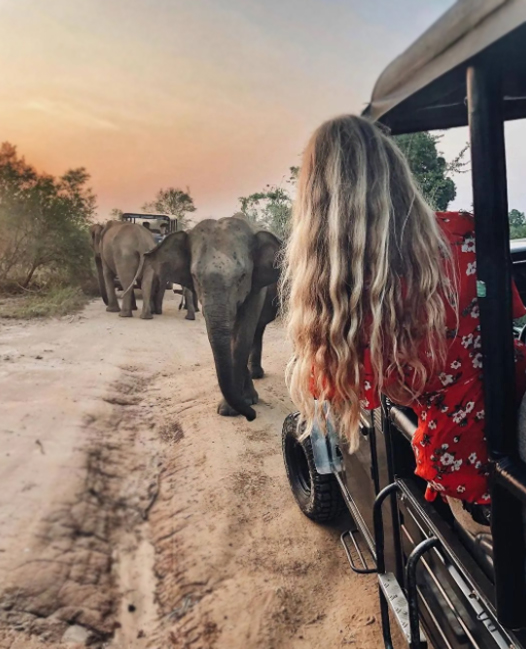 Sri Lanka Wildlife Tour